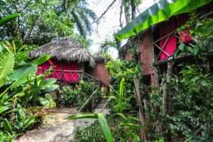 Samana Tropical Jungle Village &ndash; TREE HOUSE Hotel