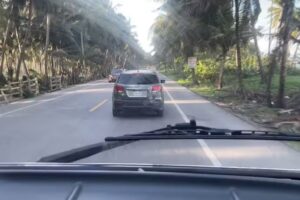 Samana Tropical with DodoMap