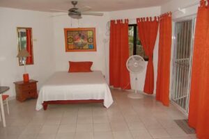 SURF & STAY Waveriders