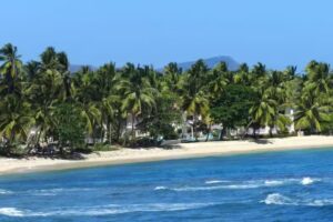 The Cove Resort Samana