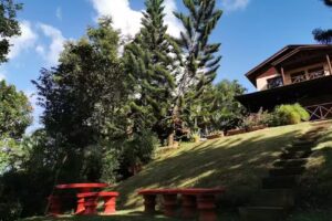 Villa 3 Green Paradise