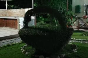 Villa Divina, La Culata