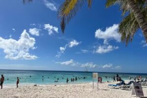 Viva Diving and Excursions