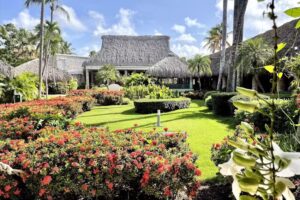 Viva Dominicus Beach by Wyndham, A Trademark All Inclusive